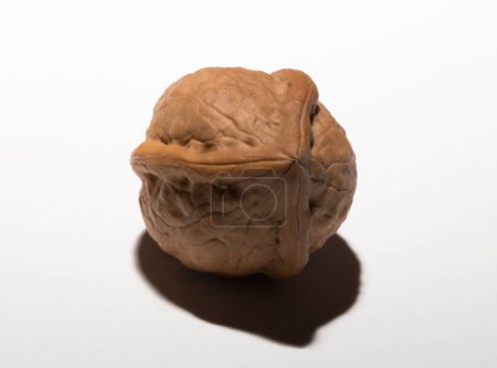 Photo for Walnuts are rounded, single-seeded stone fruits of the walnut tree. Tricuspid walnut. - Royalty Free Image