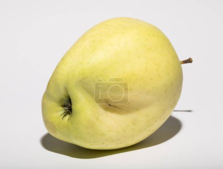 Téléchargez les photos : Moche pomme mutante. Le fruit est jaune sur fond blanc. - en image libre de droit