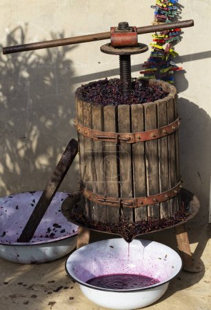 Foto de Elaboración. Tecnología de producción de vino en Moldavia. La antigua tradición popular del procesamiento de la uva. El exprimidor se utiliza para presionar el vino
. - Imagen libre de derechos