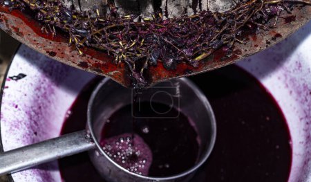 Foto de Elaboración. Tecnología de producción de vino en Moldavia. La antigua tradición popular del procesamiento de la uva. El exprimidor se utiliza para presionar el vino
. - Imagen libre de derechos