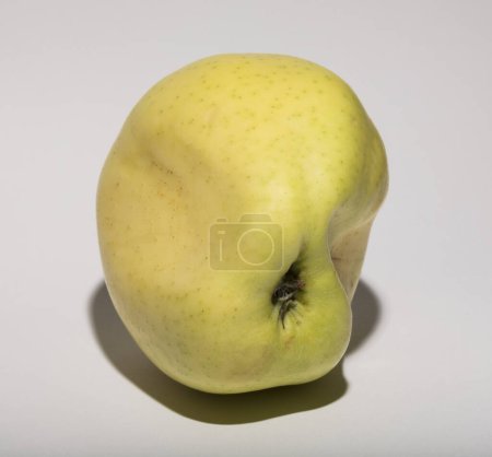 Téléchargez les photos : Moche pomme mutante. Le fruit est jaune sur fond blanc. - en image libre de droit