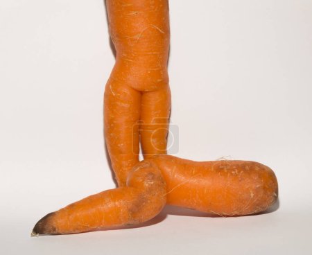 Téléchargez les photos : Deux carottes tordues sont des mutants. Association d'intimité érotique. - en image libre de droit