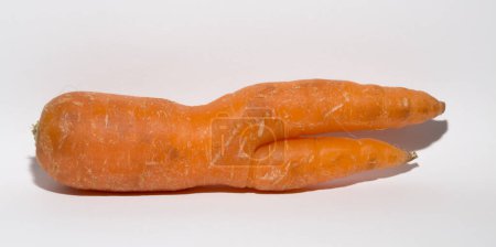 Photo for Crooked carrot is a mutant. Vegetable on a white background. - Royalty Free Image