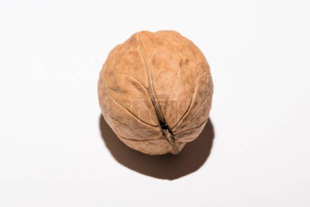 Walnuts are rounded, single-seeded stone fruits of the walnut tree.