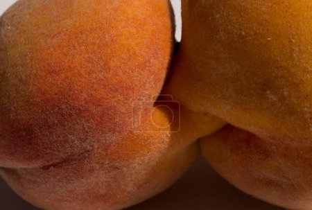 Dos frutas de melocotón pegadas. Gemelos siameses. Una anomalía frutal.