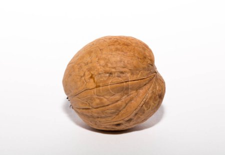 Photo for Walnuts are rounded, single-seeded stone fruits of the walnut tree. Tricuspid walnut. - Royalty Free Image