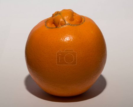 A strange sweet oranges, gives birth to its offspring. Association of Medical Diseases.