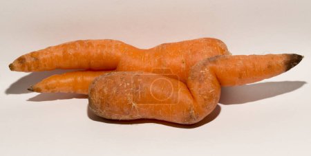 Photo for Two crooked carrots are mutants. Association of erotic intimacy. - Royalty Free Image