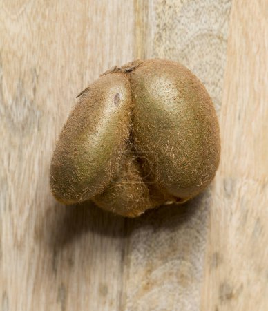 Photo for Strange shape of the fruit. A mutated kiwi berry. Kiwifruit  or Chinese gooseberry is the edible berry. - Royalty Free Image
