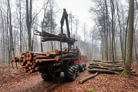 Photo for Forwarder, forestry vehicle, forestry work - Royalty Free Image