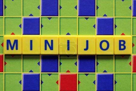 Mini Job, the word "mini job" 