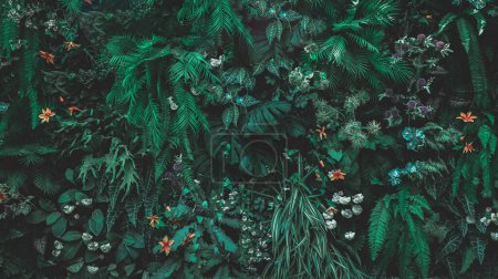 Foto de Herb wall, plant wall, natural green wallpaper and background. nature wall. Nature background of green forest - Imagen libre de derechos