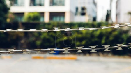 Téléchargez les photos : Clôture de fil de fer barbelé rideau. Fil barbelé - zone réglementée. fil barbelé tendu sur la clôture. - en image libre de droit