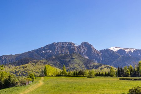 Vue sur les montagnes Tatra et le pic Giewont. Prairie verte, la route mène au flanc des montagnes. Il y a des arbres à côté de la route. L'été dans les montagnes Tatra