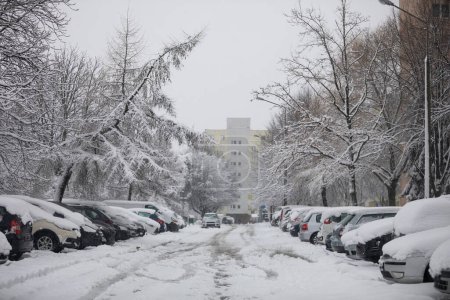 A large number of parked cars standing in the parking area. The cars are covered with a layer of fresh snow. Snow has fallen on the street, sidewalks and trees. Snow-covered treetops.