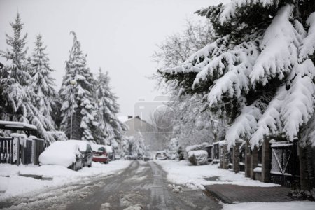 Foto de La nieve ha cubierto los árboles, coches, calles y aceras. Un bloque residencial se puede ver en la distancia. Hay árboles altos a ambos lados de la calle de la finca. Es invierno y no es pesado - Imagen libre de derechos