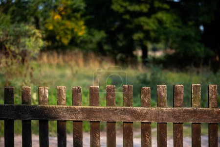 Photo for A view of an old wooden fence, handmade from wooden rails. In the background you can see a fuzzy meadow and trees. - Royalty Free Image
