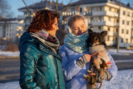 Téléchargez les photos : Les petits chiens se refroidissent rapidement, il est donc important de les garder thermiquement à l'aise pendant l'hiver. Les vêtements pour chiens sont une bonne solution. Une femme tient son chien dans ses bras lors d'une promenade hivernale. - en image libre de droit