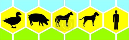 Graphic symbols of several mammals arranged in a row on one board.