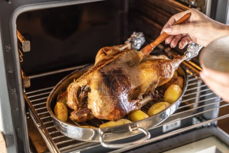 Photo for Female hands rub honey on a roast goose before the final roasting. - Royalty Free Image