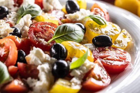 Photo for Caprese salad, mediterranean food, is served in white plate. - Royalty Free Image