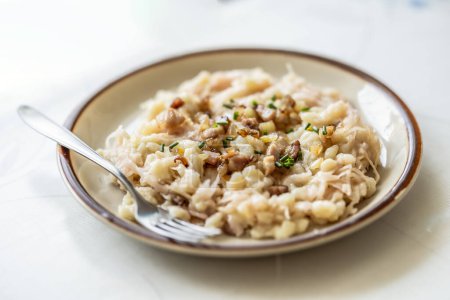 Traditional Slovak dish Halusky - Strapacky with sauerkraut on a plate.