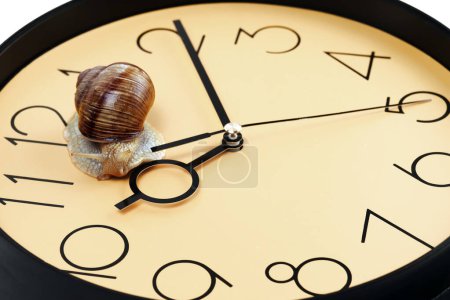 Téléchargez les photos : The snail is crawling on the clock face. Selective focus. - en image libre de droit