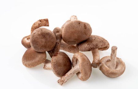 Photo for A bunch of shiitake mushrooms are isolated on white background. Selective focus. - Royalty Free Image