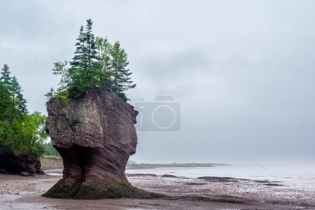 The bay of Fundy, New Brunswick.This bay is famous for having the highest tides in the world, which can reach 20 meters in height