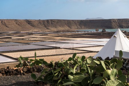 Photo for View of the salinas de Janubio in the Lanzarote during a sunny day - Royalty Free Image
