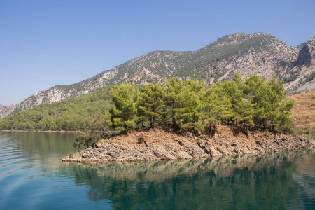Trees grow on a rocky hill. Green Canyon in Turkey, the city of Manavgat. Taurus Mountains and an artificial lake-reservoir. Excursions to Green Canyon