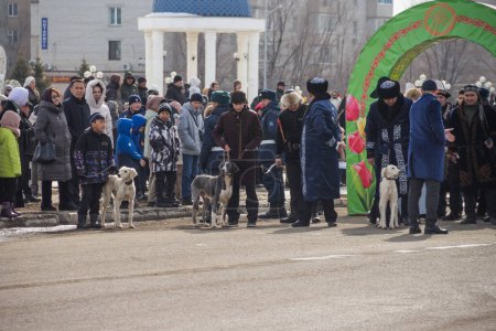 Téléchargez les photos : Uralsk (Oral), Qazaqstan, 22.03.2024 - Vacances à Nauryz au Kazakhstan. Chiens de la race kazakhe Tazy à la fête de Nauryz. - en image libre de droit