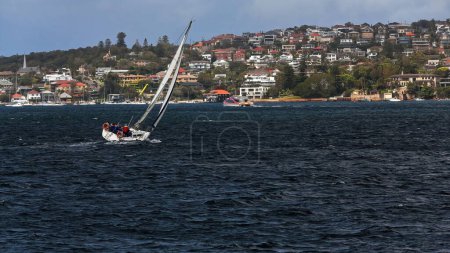 Foto de Racing sailboat seen from the northwest from a Manly bound ferry and sailing into Watsons Bay harbourside eastern suburb on the end of the South Head peninsula in Port Jackson. Sydney-NSW-Australia. - Imagen libre de derechos