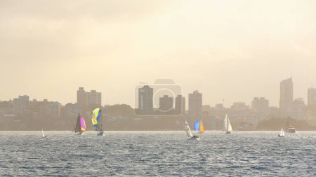 Téléchargez les photos : Groupe de voiliers de course naviguant dans les eaux de Double Bay dans un après-midi brumeux avec les gratte-ciel de la CDB droite- et Darlinghurst banlieue -gauche en arrière-plan. Port de Sydney-NSW-Australie. - en image libre de droit