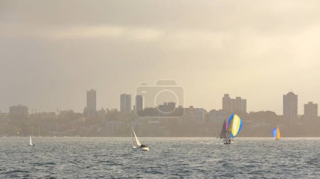 Téléchargez les photos : Groupe de voiliers de course naviguant dans les eaux de Double Bay par un après-midi brumeux avec des logements en eau frontale au premier plan et des gratte-ciel au sommet de la colline en arrière-plan. Port de Sydney-NSW-Australie. - en image libre de droit
