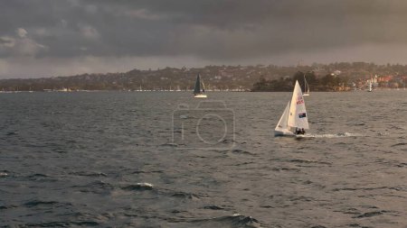 Téléchargez les photos : Voiliers de course naviguant dans les eaux sombres autour de Shark Island-Boowambillee par un après-midi brumeux avec Rose Bay à gauche et Shark Island Light à droite. Port de Sydney-NSW-Australie. - en image libre de droit
