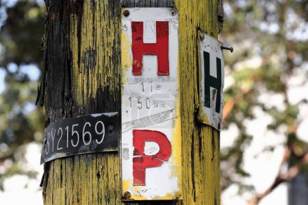 Photo for Plates on yellow timber power line pole with red HP -hydrant in pathway- and green H -hydrant marker around the pole- letters. Corner of Liverpool St and Barcom Ave, Darlinghurst. Sydney-NSW-Australia - Royalty Free Image