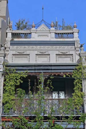 Téléchargez les photos : Façade de la maison terrasse de style filigrane victorien avec mur gris-blanc et véranda couverte de vigne décorée avec écran en fonte laquée sur la rue Ormond, banlieue de Paddington. Sydney-NSW-Australie. - en image libre de droit