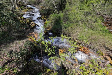 Foto de El agua del flujo de alta velocidad Vevcani manantiales que fluyen desde la ladera este de la montaña Jablanica a través de once fuentes, el más famoso es Jankov Kamen, Mala Livada y Golina. Vevchani-Macedonia del Norte. - Imagen libre de derechos