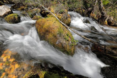 Foto de El agua del flujo de alta velocidad Vevcani manantiales que fluyen desde la ladera este de la montaña Jablanica a través de once fuentes, el más famoso es Jankov Kamen, Mala Livada y Golina. Vevchani-Macedonia del Norte. - Imagen libre de derechos