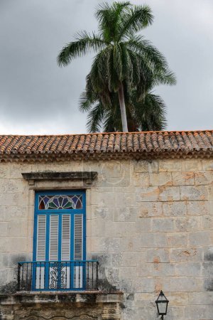 Detalle de fachada orientada al norte, antigua Casa Condes de Casa Bayona de 1720 d.C. restaurada en 1969, balcón de vidrieras sobre persianas de madera con persianas, palmera alta. La Habana-Cuba.