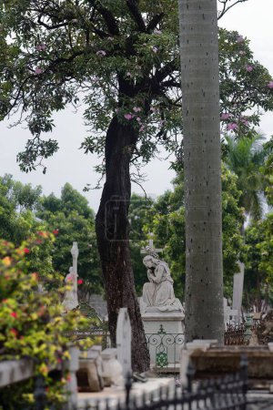 Nette kniende junge Frau umarmt ein Kreuz, eine weiße Marmorstatue auf einem Grab in der Nähe der Avenida Cristobal Colon Avenue-Cementerio Colon Cemetery, eingerahmt von einer Palme und einem rosafarbenen Trompetenbaum. Havanna-Kuba