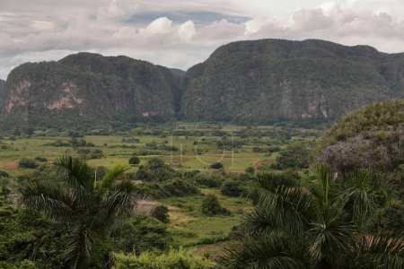 Vue sud-est-nord-ouest de la vallée de Vinales depuis la vue sur la route 241 surplombant les versants des formations géomorphologiques karstiques appelées mogotes. Pinar del Rio province-Cuba.