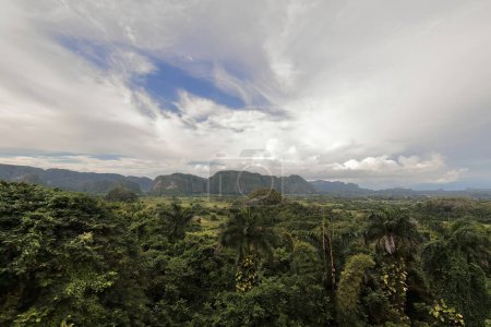 Blick von Südosten nach Nordwesten auf das Vinales-Tal von der Aussicht auf die Straße 241 über die Hügel der karstigen geomorphologischen Formationen, die Mogoten genannt werden. Pinar del Rio Provinz-Kuba.