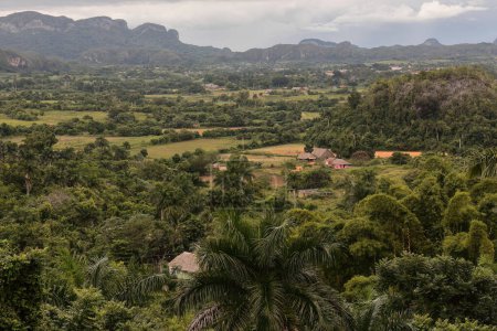 Photo for Southeast-to-northwest view of the Vinales Valley from the outlook on the 241 road overlooking the hillfaces on the karstic geomorphological formations called mogotes. Pinar del Rio province-Cuba. - Royalty Free Image