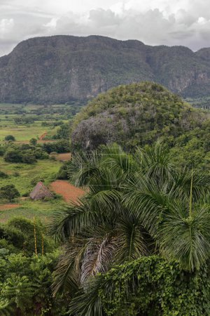 Vista sureste-noroeste del valle de Vinales desde la perspectiva de la carretera 241 con vistas a las laderas de las formaciones geomorfológicas kársticas llamadas mogotes. Pinar del Río provincia-Cuba.