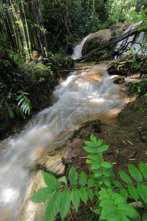Small rapids cascade in the rainforest along the Sendero Centinelas del Rio Melodioso Hike, downstream Salto El Rocio Waterfall on way to Poza El Venado Pool, Guanayara Park. Cienfuegos province-Cuba.