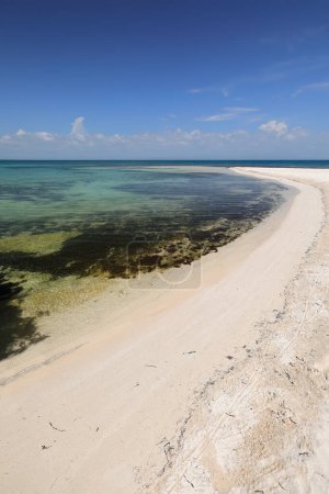 Islandscape depicting the dark seaweed-surrounded, white sandbar at the northernmost tip of Cayo Iguana or Macho de Afuera Key jutting into clear, green and turquoise Caribbean waters. Trinidad-Cuba.