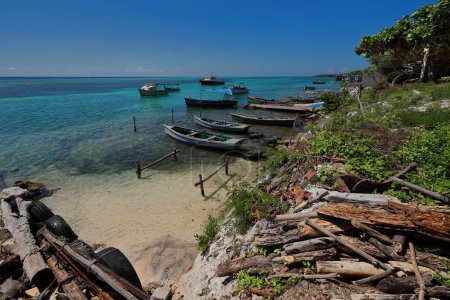 Barcos de pesca artesanales, pequeños y viejos amarrados a estacas de madera clavadas en el suelo de la laguna formada por el arrecife de coral frente al pueblo de Cabo Cruz, en el Parque de Desembarco Granma. Niquero-Cuba.