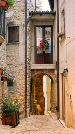 Téléchargez les photos : Plantes et fleurs en pots dans les rues étroites de l'ancien village d'Italie. - en image libre de droit